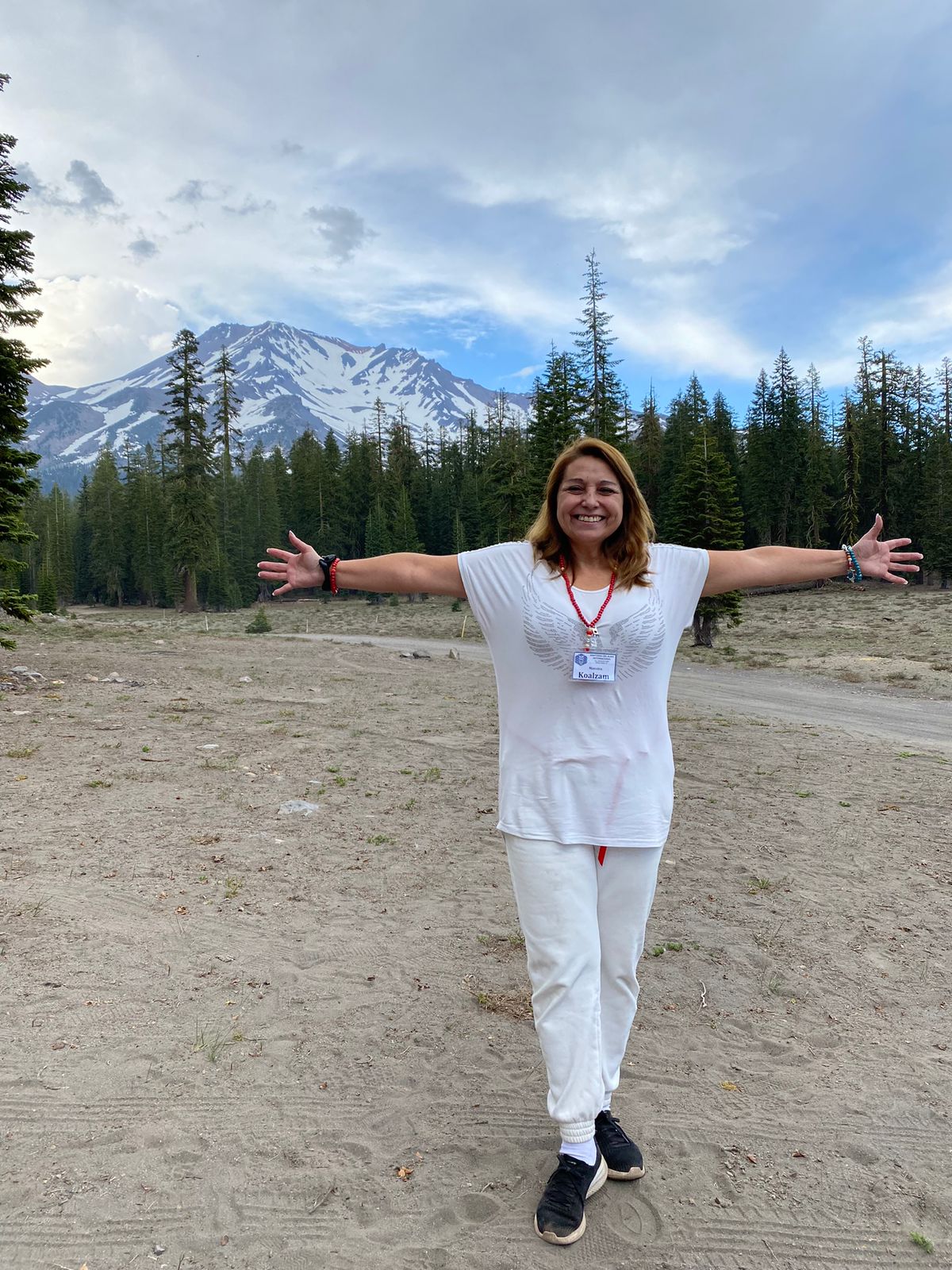 Descripción de la imagen